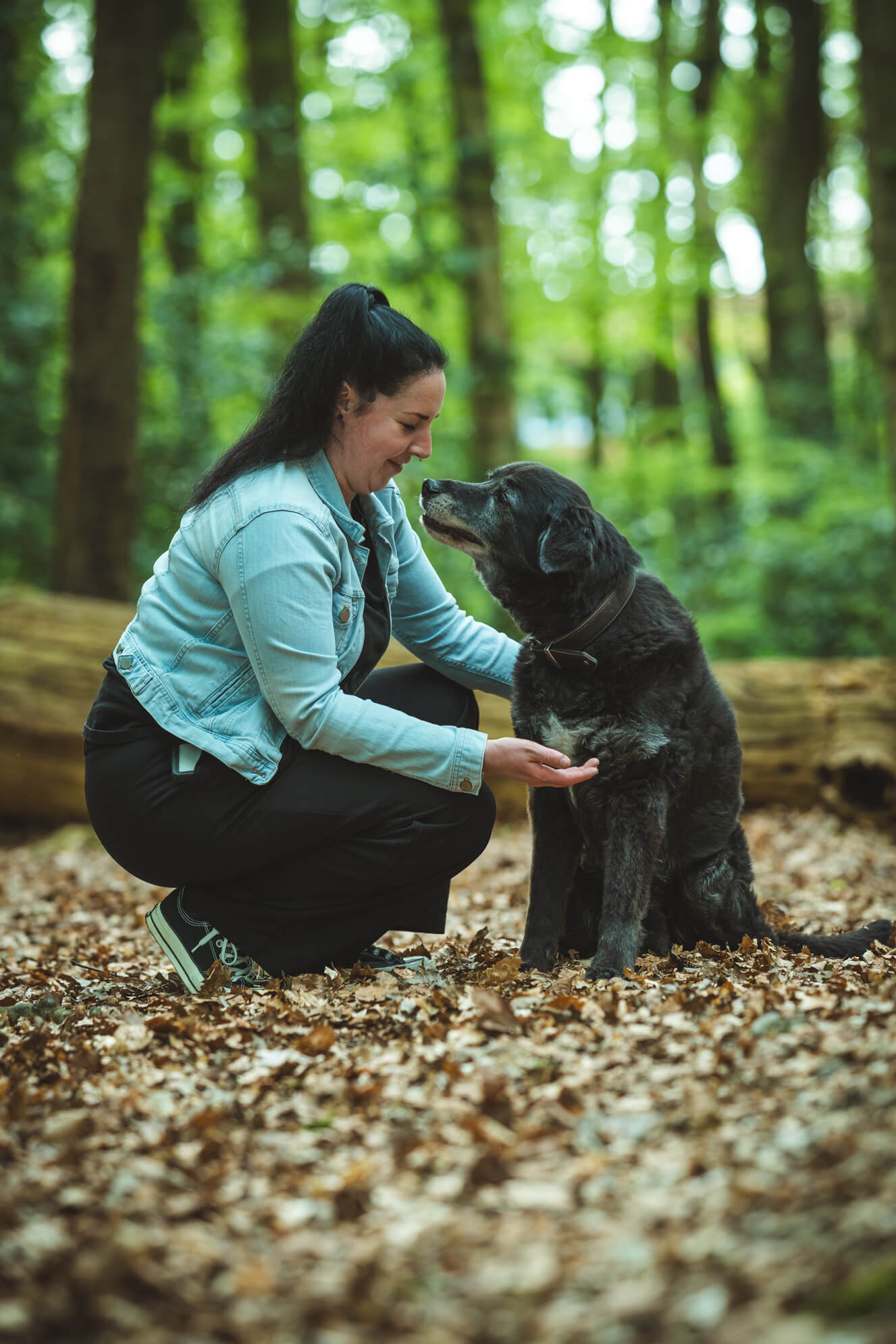 Hundefotografie Ostfriesland Aurich